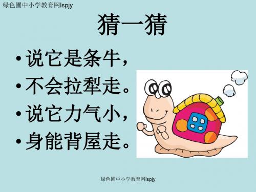 三年级上册科学第二单元蜗牛一