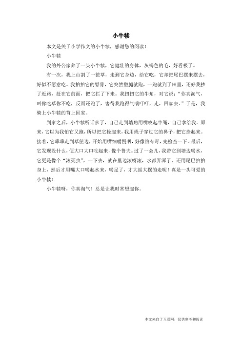 小牛犊_小学作文