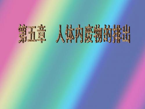 八年级生物 第五章  人体内废物的排出(2) ppt课件