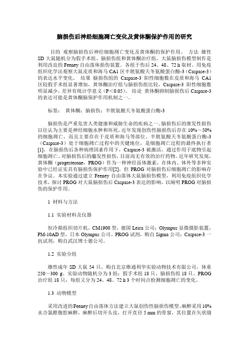 脑损伤后神经细胞凋亡变化及黄体酮保护作用的研究