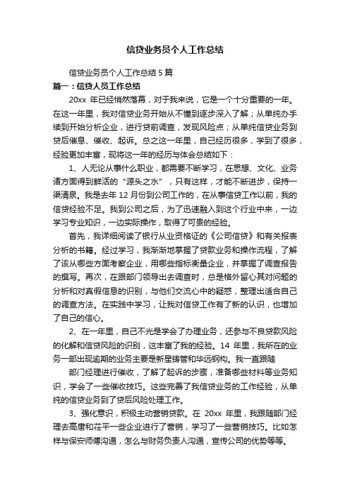 信贷业务员个人工作总结5篇