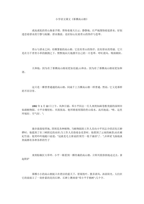 小学语文课文《那棵高山榕》