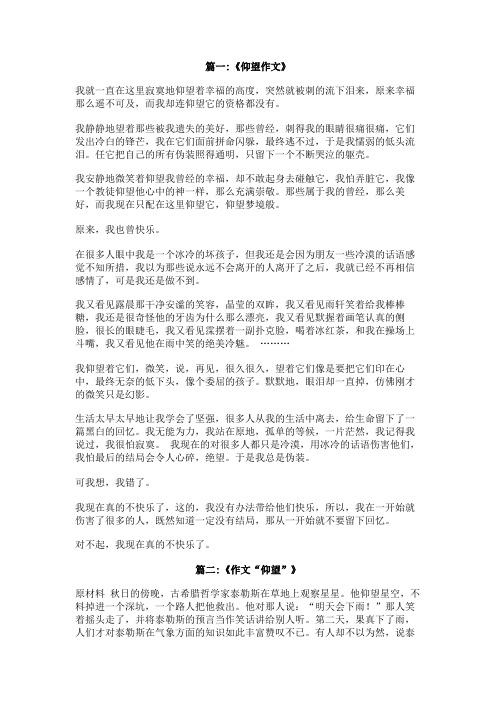 一个让我仰望的人作文