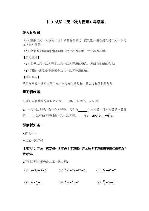 认识二元一次方程组  导学案