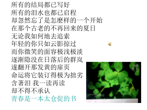感悟青春 教学课件