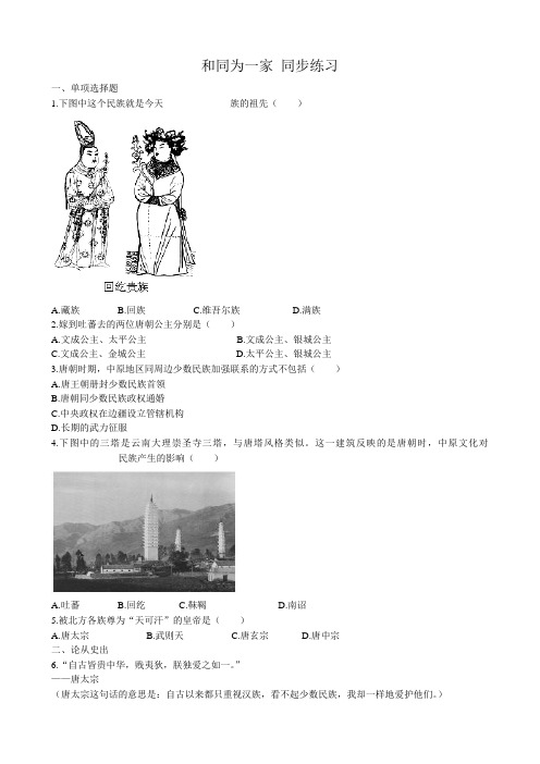 七年级历史和同为一家 同步练习新人教版
