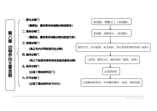 动物界的主要类群