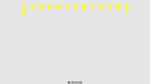 蘑菇的成长PPT课件