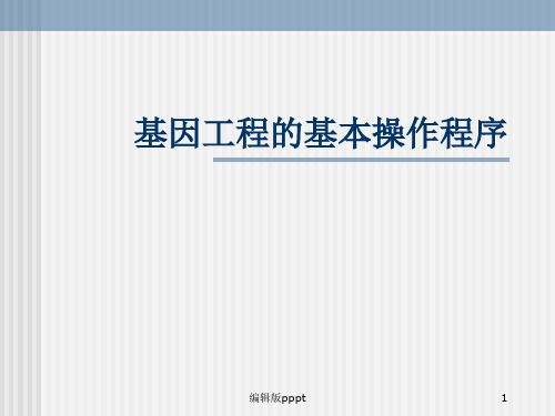 基因工程的基本操作程序完整ppt课件