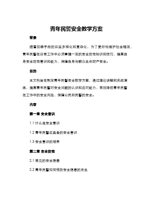 青年民警安全教学方案