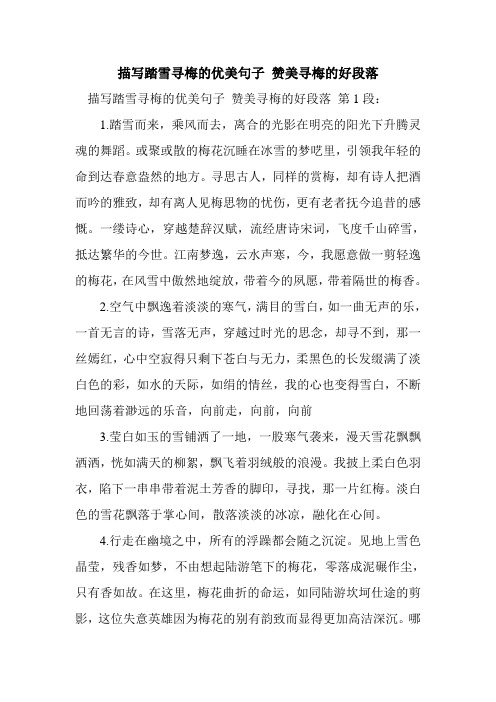 新整理描写踏雪寻梅的优美句子 赞美寻梅的好段落