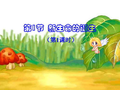 浙教版七年级下册1.1第1课时人的生殖系统(共26张PPT)