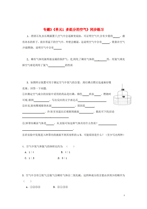 九年级化学上册 专题3 利用大气资源《单元1 多组分的空气》同步练习(无答案) 湘教版