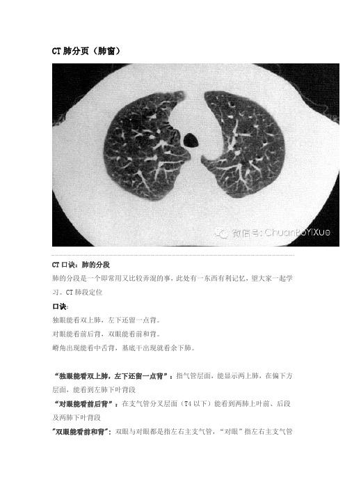CT肺分页(肺窗)