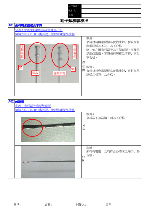 端子类检验标准 模版