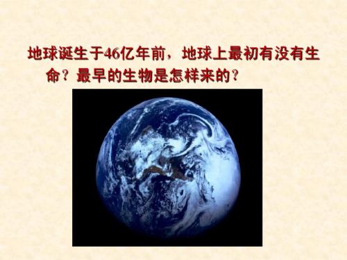 生物：第五单元第一章第一节生命的起源课件(济南版八年级下) 2
