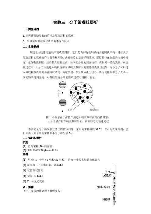 分子筛凝胶层析