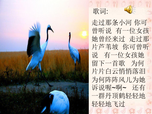 《这条小鱼在乎》ppt课件(11篇)