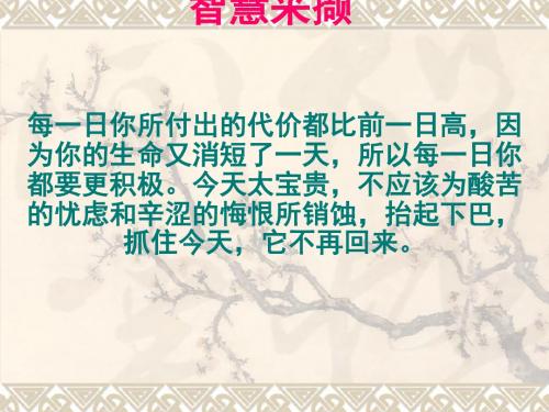 初中作文指导：《给你的作文穿件亮丽的衣裳》PPT1