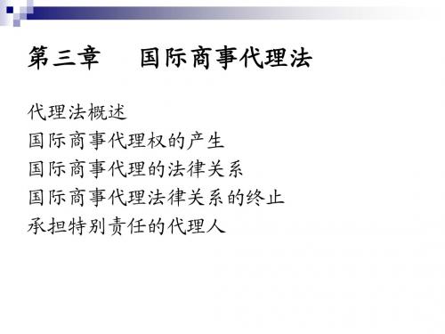 国际商法 第三章