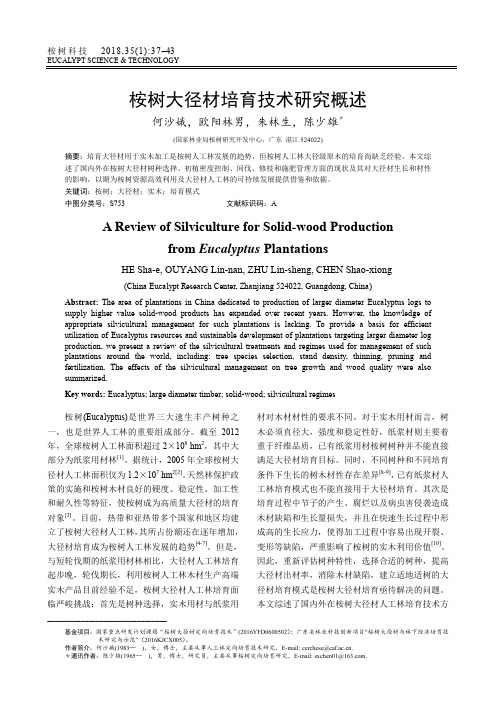 桉树大径材培育技术研究概述