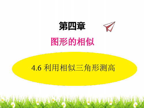 最新北师版九年级初三数学上册《利用相似三角形测高》名师精品课件