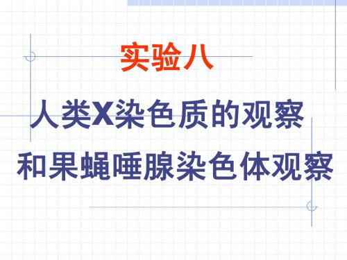 人的X染色质的观察
