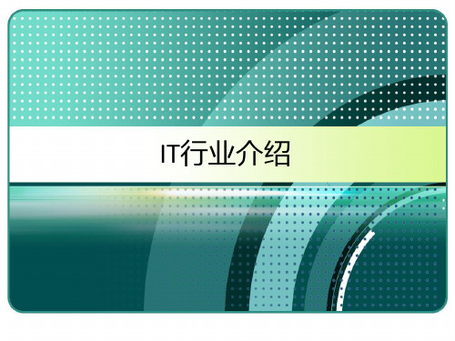 IT行业介绍及发展前景 PPT