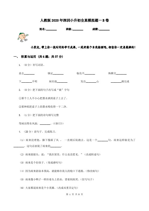 人教版2020年深圳小升初全真模拟题一B卷