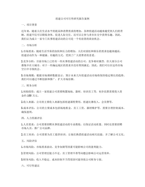 组建公司可行性研究报告案例