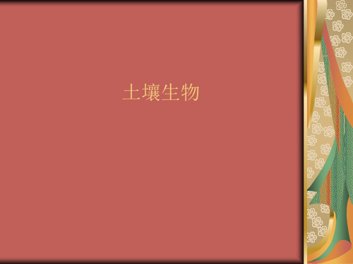 土壤生物