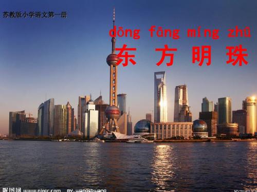东方明珠第一课时