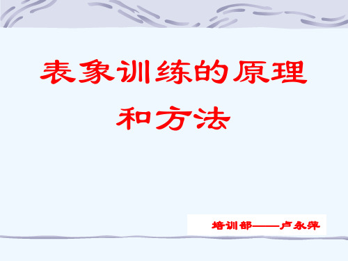 表象训练的原理