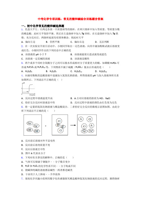 中考化学专项训练：常见的酸和碱综合训练题含答案