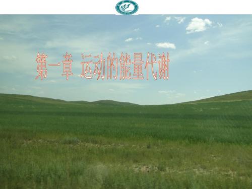 第一章 运动的能量代谢
