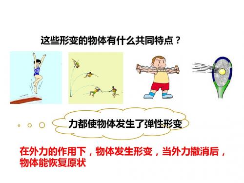 (新)华师大版八年级科学上册1.3《几种常见的力》优质课件
