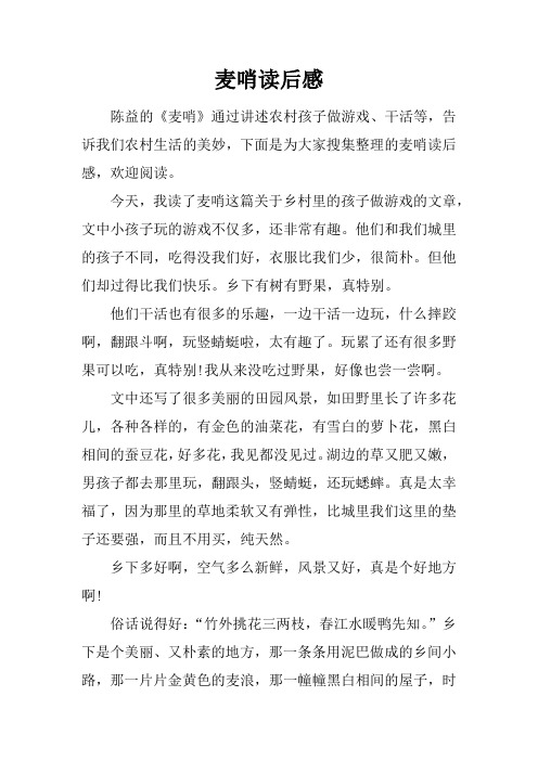 麦哨读后感