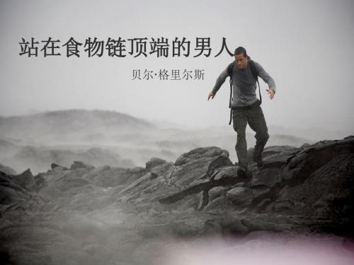 贝尔.格里尔斯
