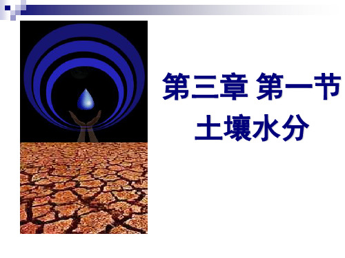 土壤水分