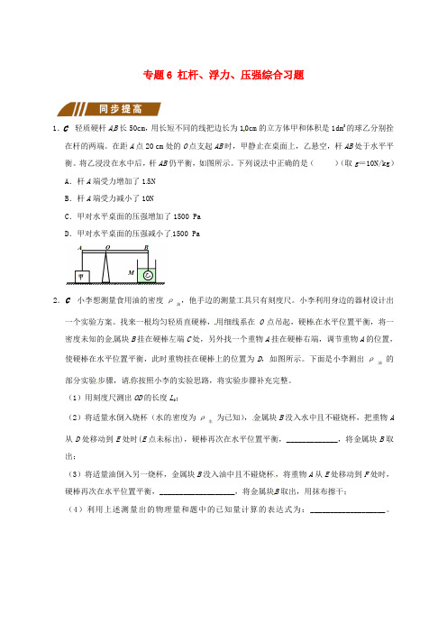 江苏省大丰市九年级物理上册 11.1 杠杆 专题6 杠杆、浮力、压强课程讲义 (新版)苏科版
