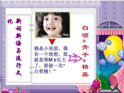 每年一部“新词典”——新词语PPT3