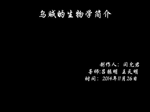 乌贼的生物学特性