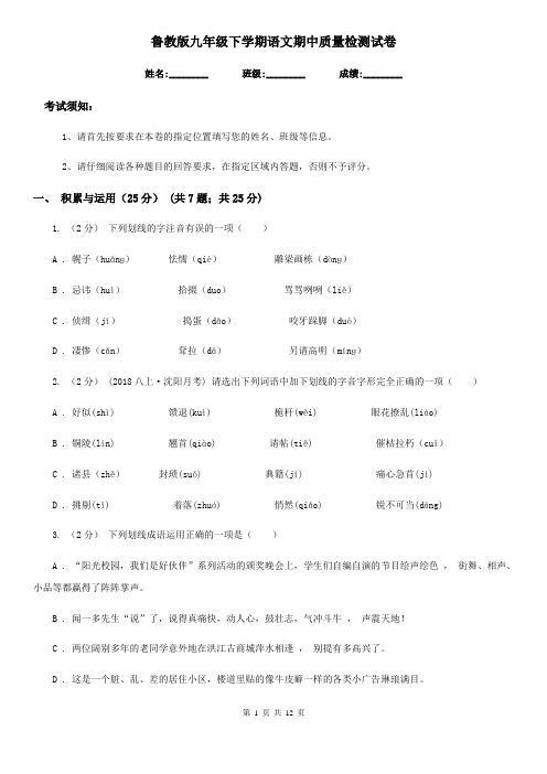 鲁教版九年级下学期语文期中质量检测试卷