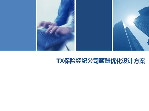 TX保险经纪公司薪酬优化设计方案