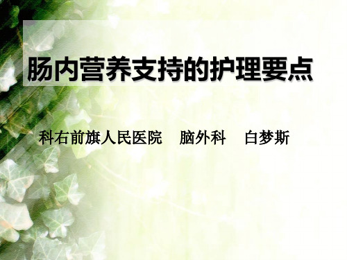肠内营养支持的护理要点