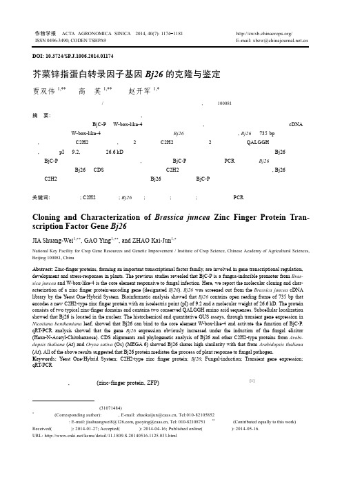 芥菜锌指蛋白转录因子基因Bj26的克隆与鉴定