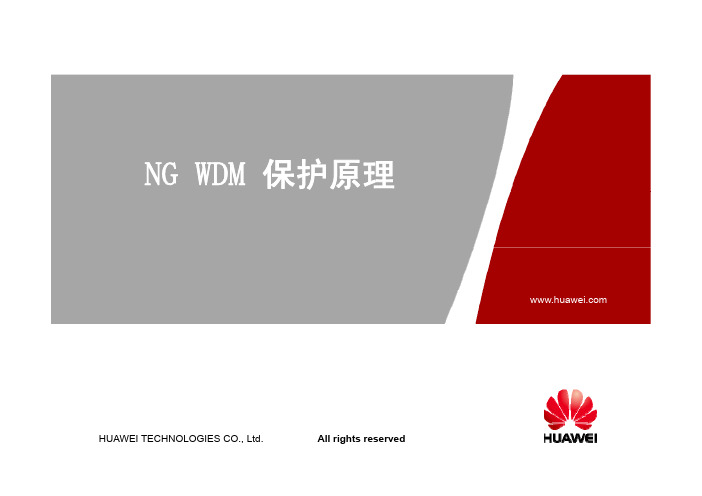 NG WDM 保护原理