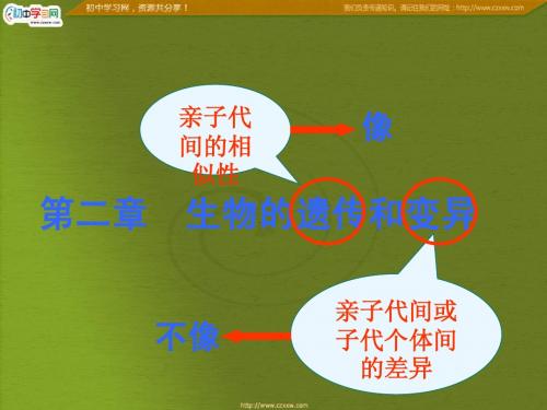 《基因控制生物的性状》课件