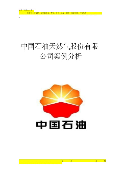 中国石油天然气股份有限公司案例分析