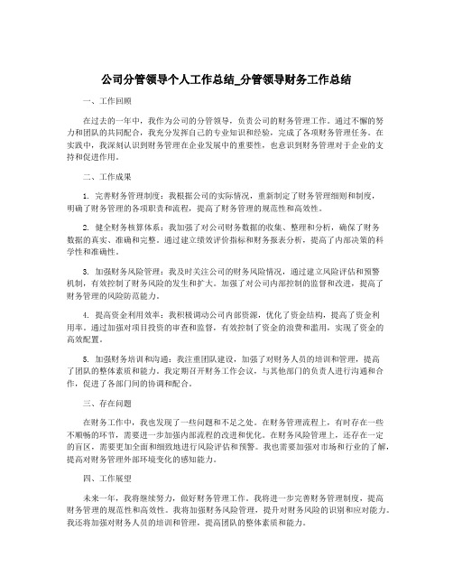 公司分管领导个人工作总结_分管领导财务工作总结